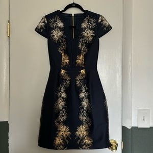 Ted Baker TZalla fireworks dress